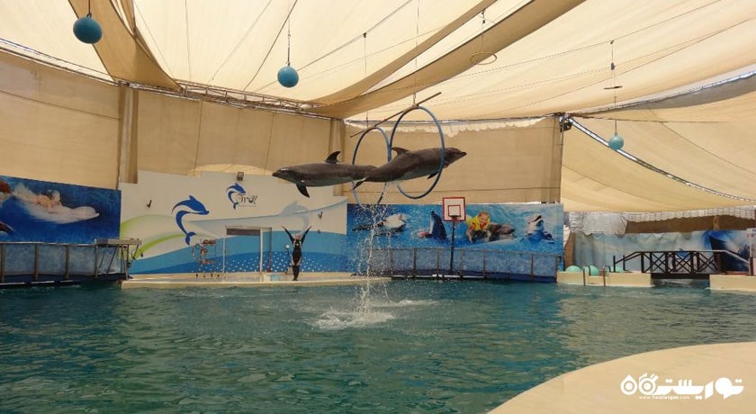 سرگرمی تروی آکوا (پارک آبی تروی) شهر ترکیه کشور آنتالیا